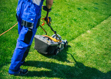 Healthy lawn care